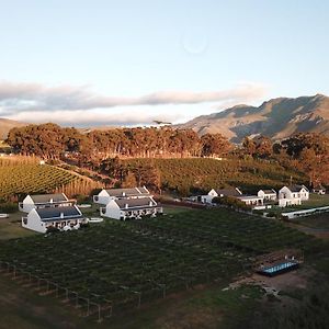 Endless Vineyards At Wildekrans Wine Estate